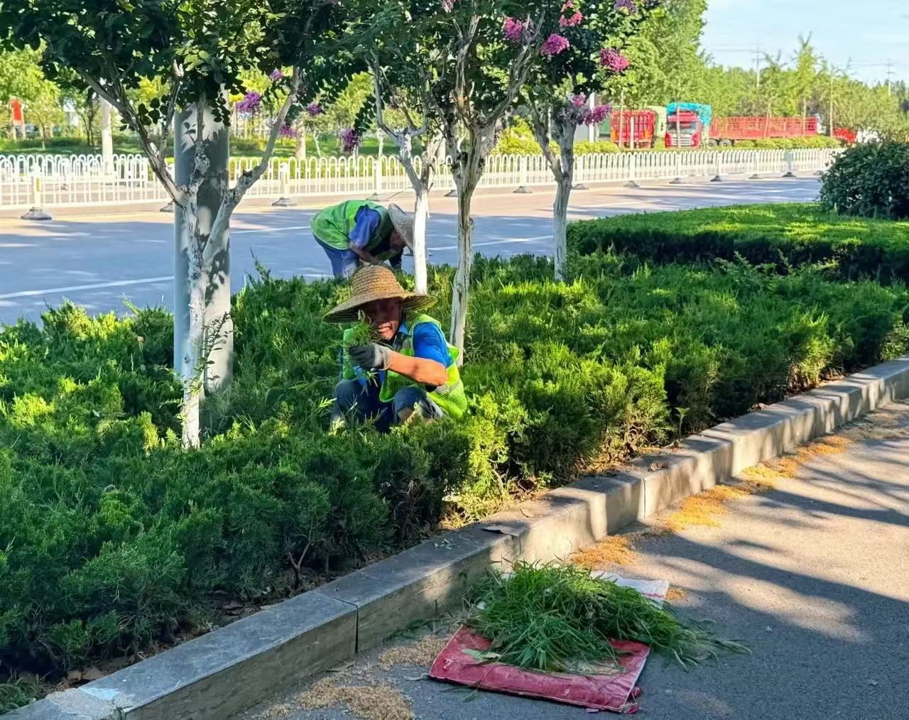 微信图片_2025-07-17_175135_133.jpg
