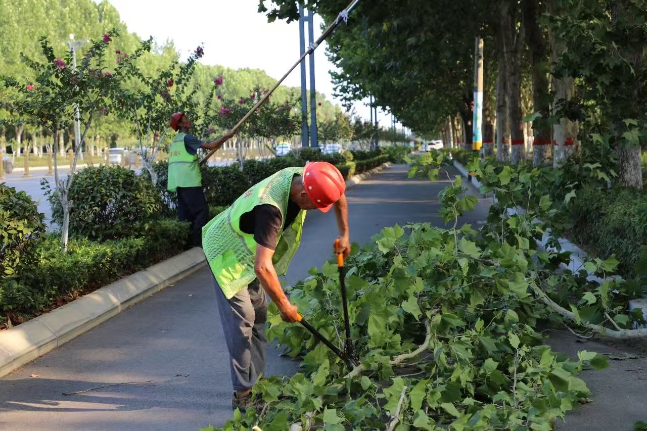 微信图片_2025-07-31_081447_406.jpg