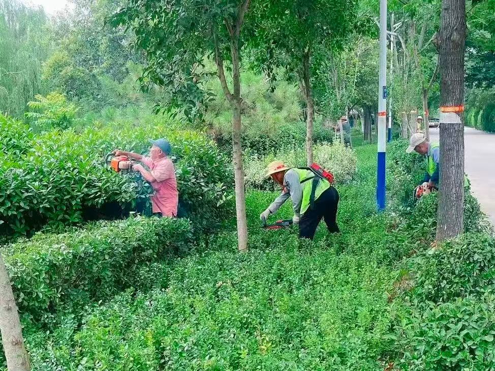 微信图片_2025-07-31_081520_542.jpg
