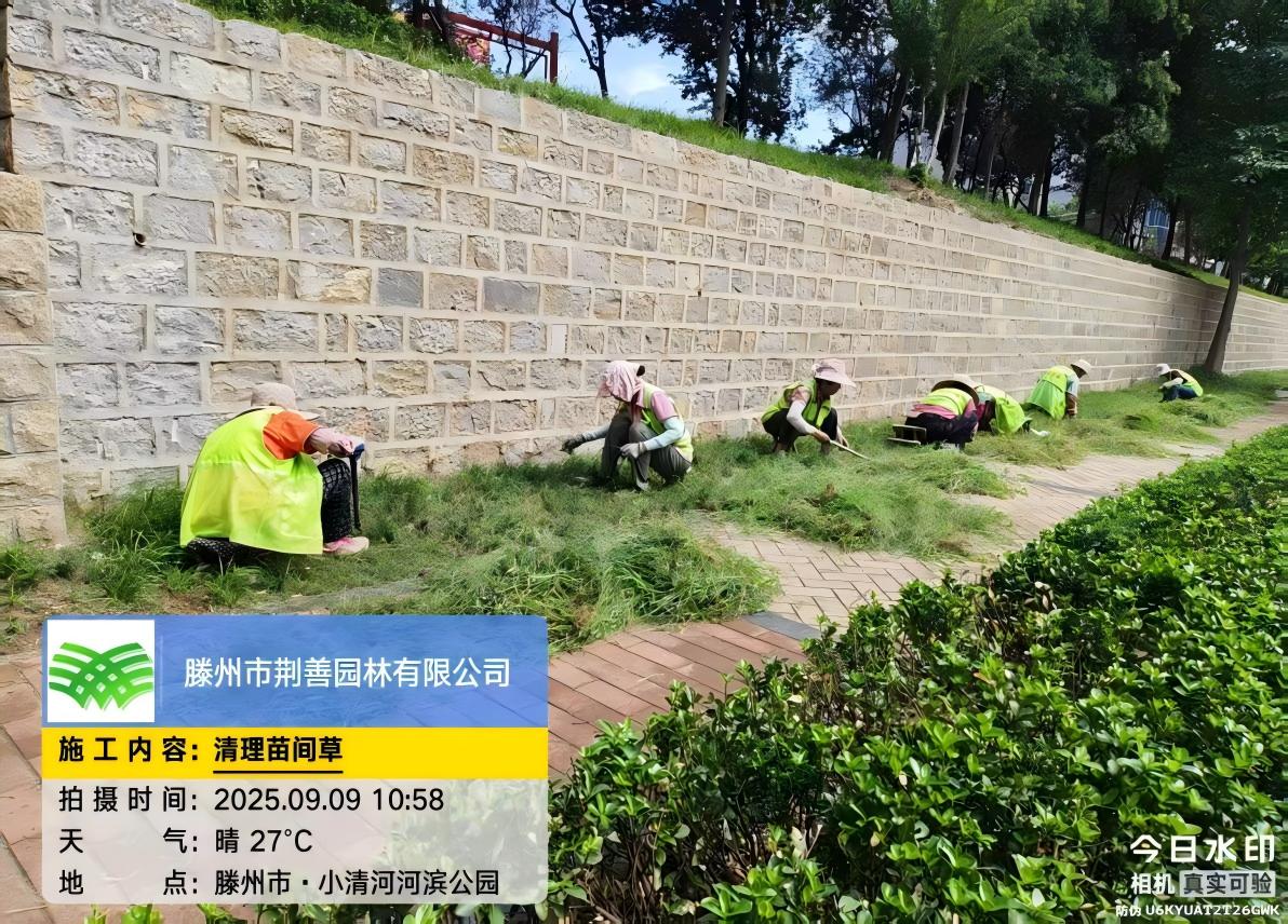图6.jpg