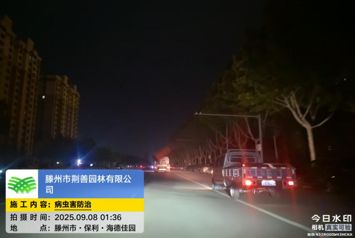 图片7.png