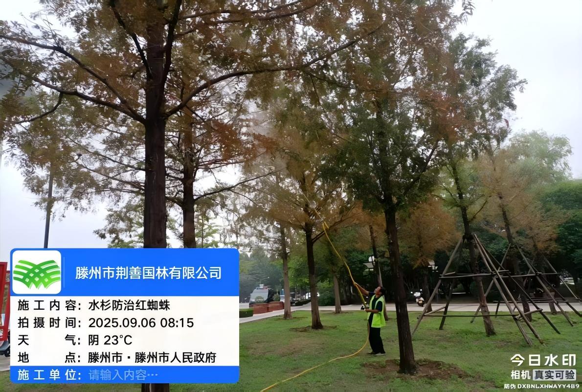 图片8.jpg